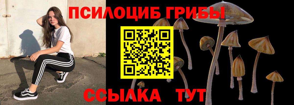 Галлюциногенные грибы MAGIC MUSHROOMS  Псилоцибиновые грибы прущие грибы  Вход с VPN  Севастополь 